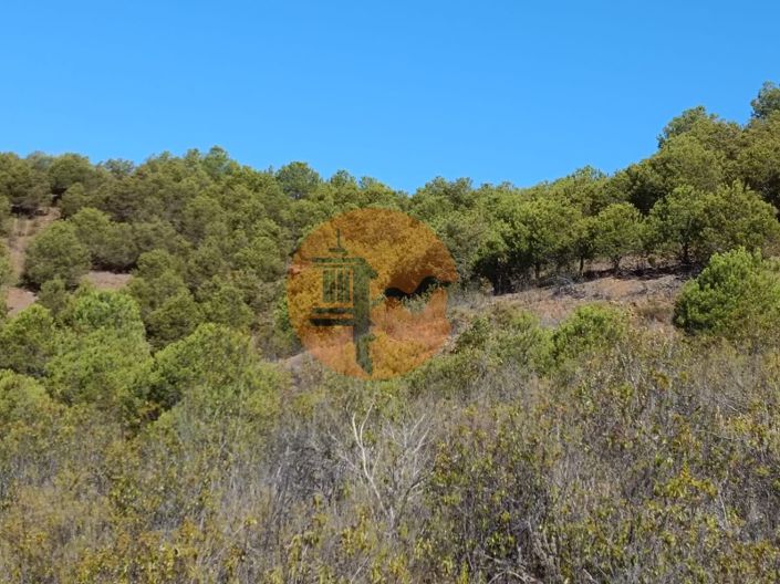 Image No.30-Plot for sale