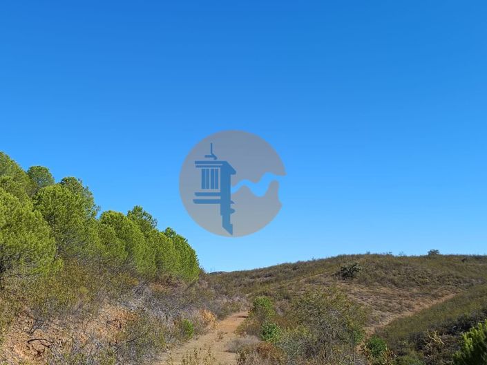 Image No.33-Plot for sale