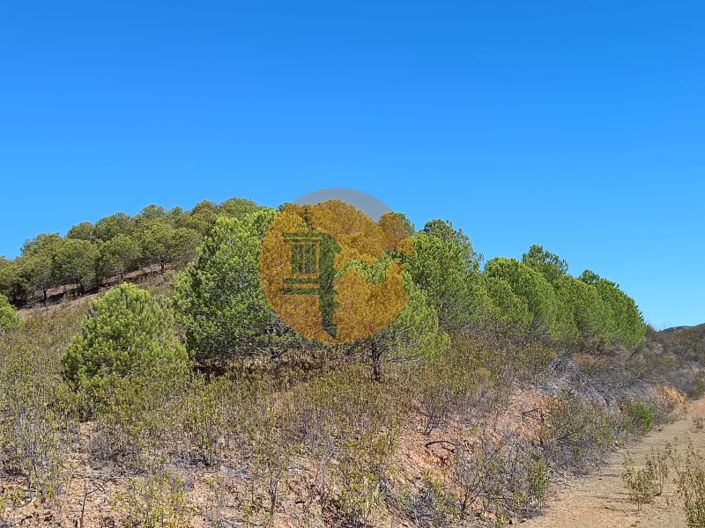 Image No.35-Plot for sale