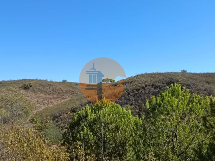 Image No.36-Plot for sale