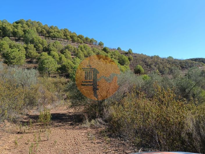 Image No.40-Plot for sale