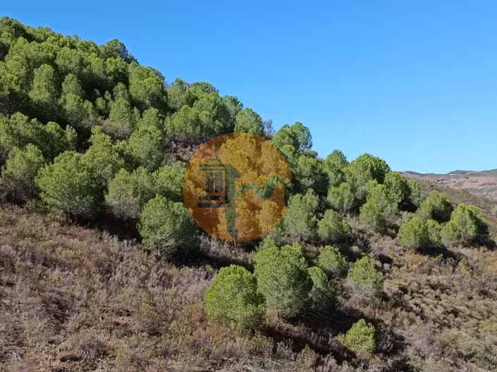 Image No.44-Plot for sale