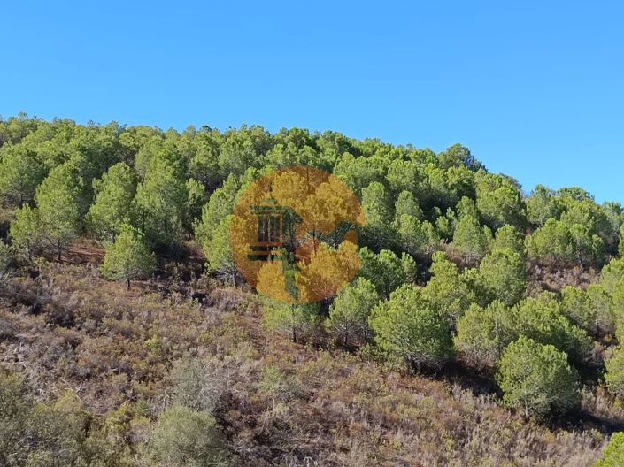 Image No.47-Plot for sale