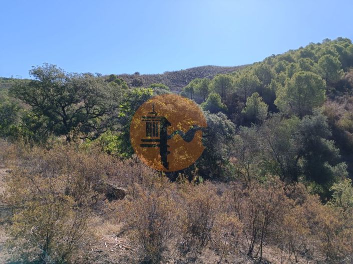 Image No.50-Plot for sale