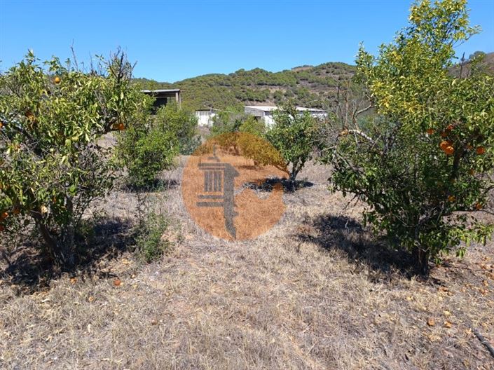 Image No.19-Plot for sale