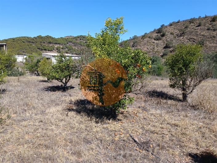 Image No.21-Plot for sale