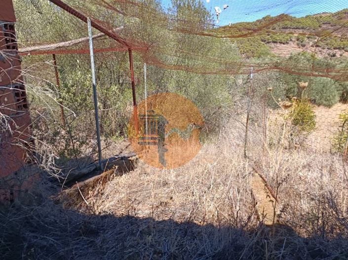 Image No.42-Plot for sale