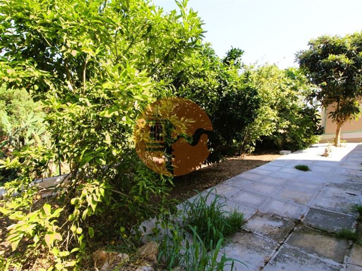 Image No.20-3 Bed House for sale