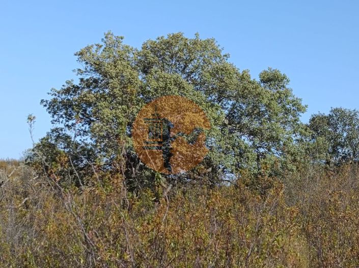 Image No.13-Plot for sale