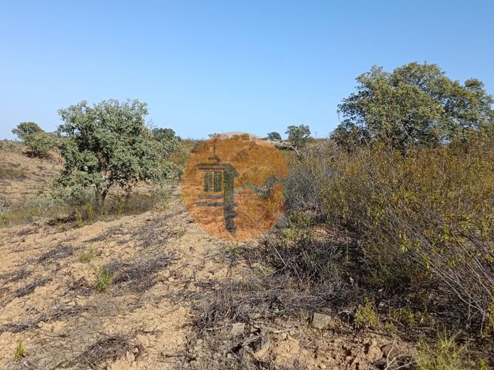 Image No.15-Plot for sale