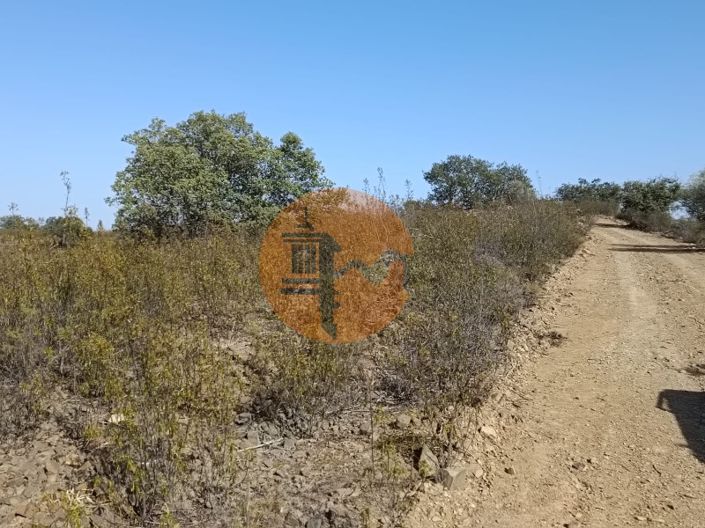 Image No.16-Plot for sale