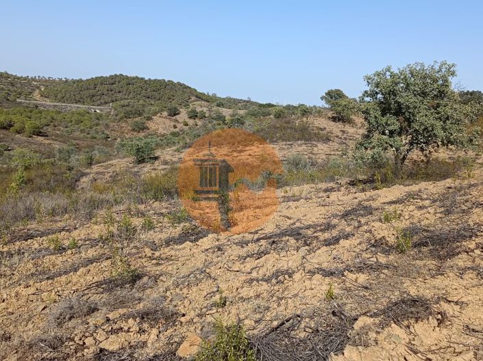 Image No.18-Plot for sale