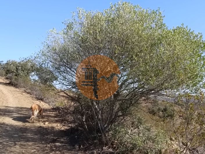 Image No.19-Plot for sale