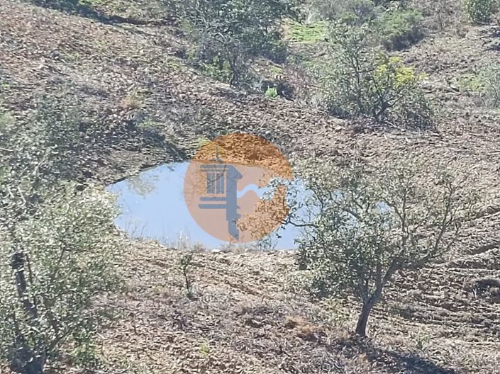 Image No.2-Plot for sale