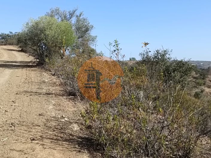 Image No.21-Plot for sale