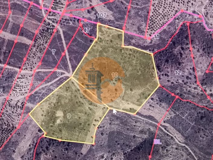 Image No.3-Plot for sale