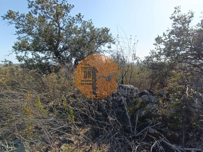 Image No.37-Plot for sale