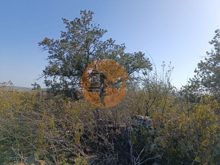 Image No.39-Plot for sale