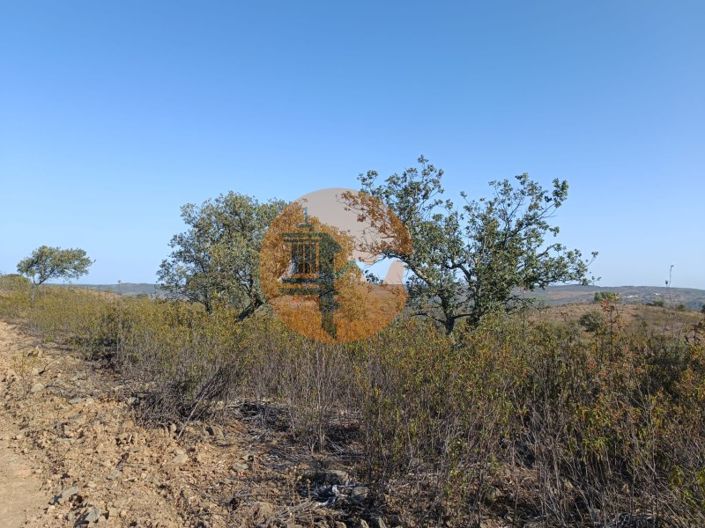 Image No.40-Plot for sale