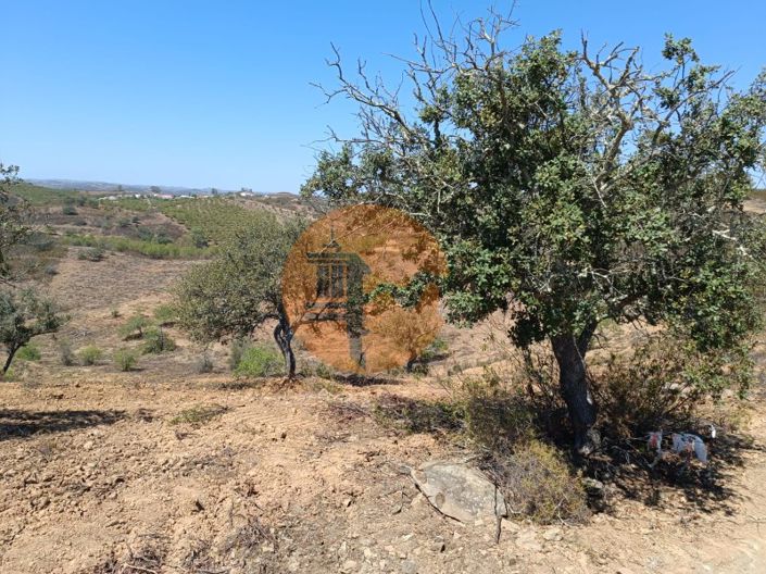 Image No.42-Plot for sale