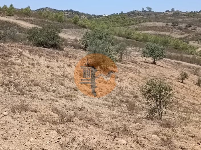 Image No.43-Plot for sale