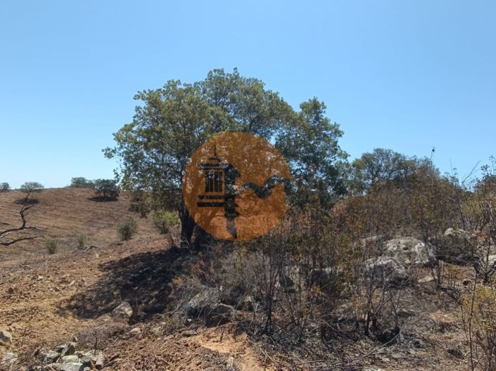 Image No.48-Plot for sale