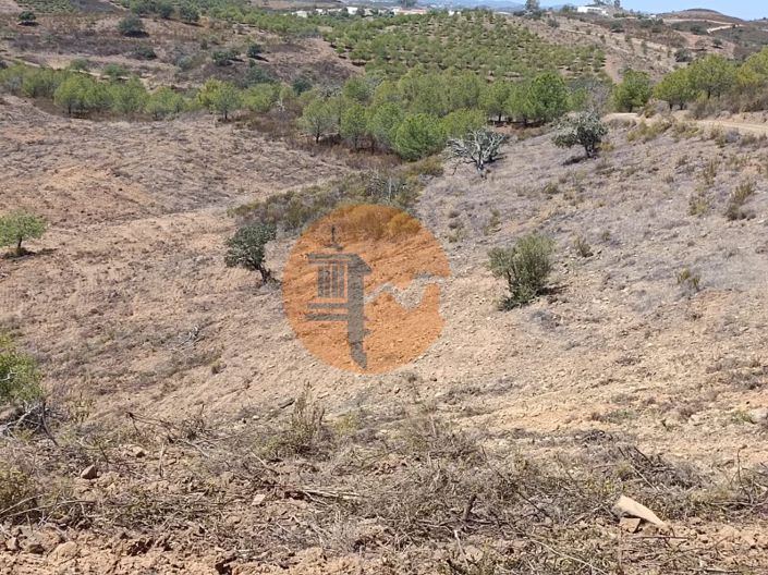 Image No.50-Plot for sale