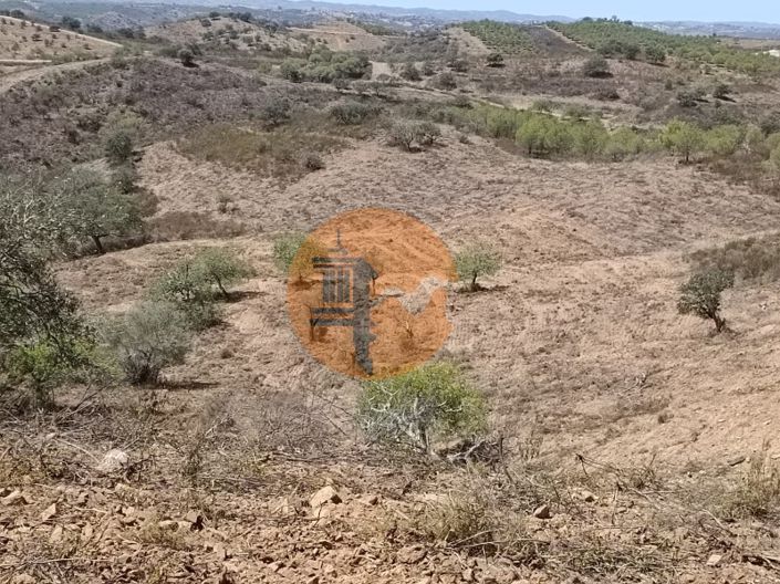 Image No.51-Plot for sale