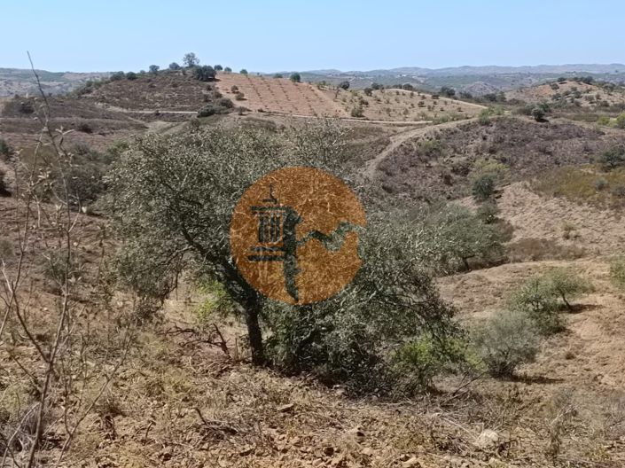 Image No.52-Plot for sale