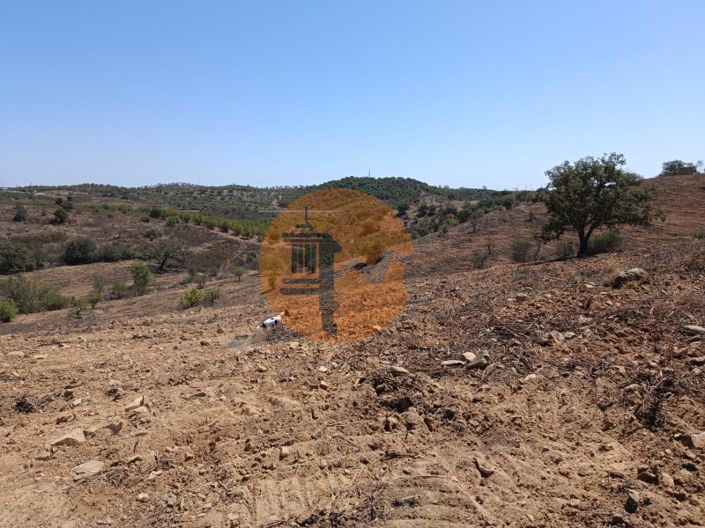 Image No.55-Plot for sale