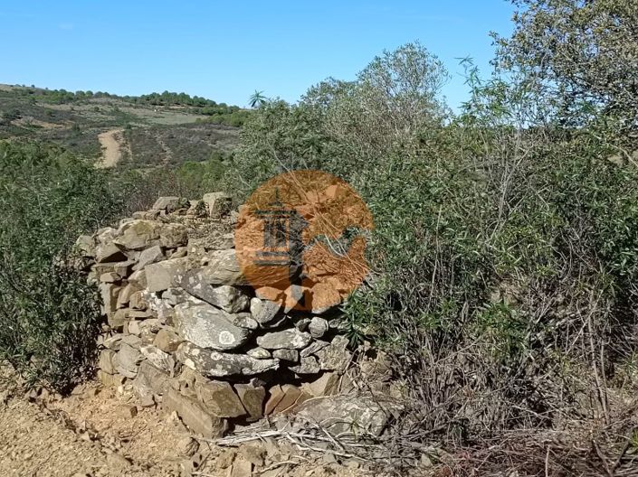 Image No.56-Plot for sale