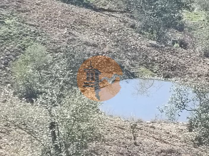 Image No.8-Plot for sale