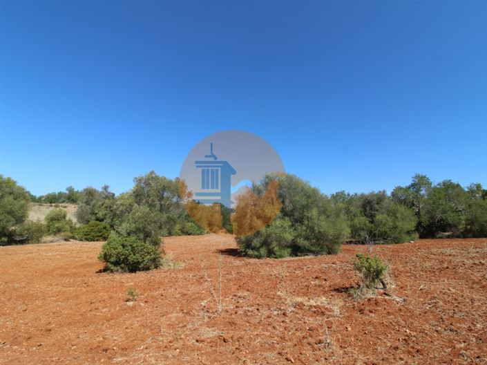 Image No.12-Plot for sale