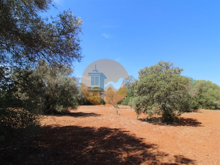 Image No.3-Plot for sale