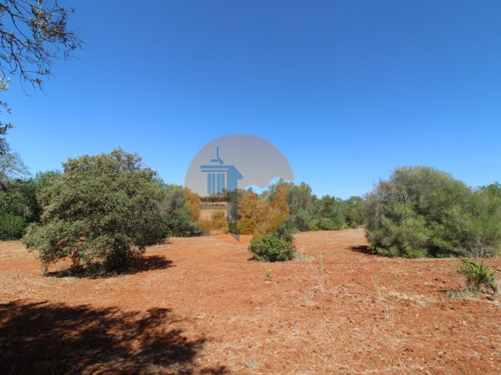 Image No.14-Plot for sale