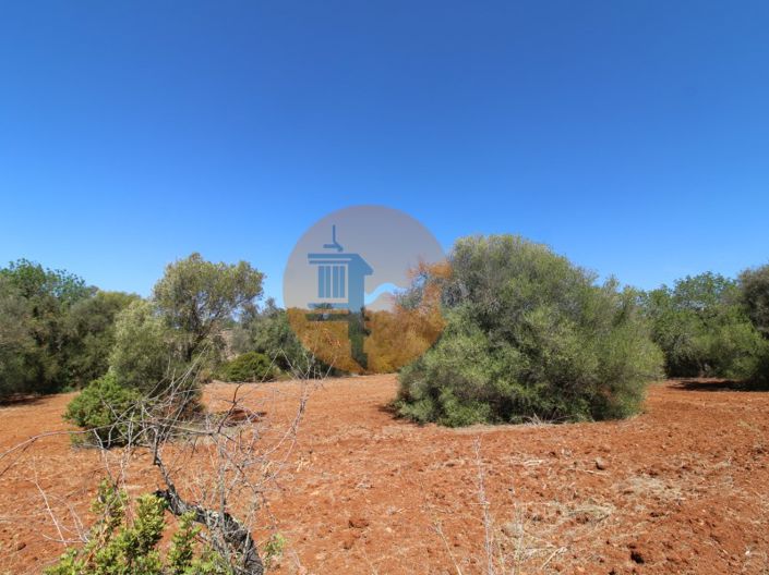 Image No.15-Plot for sale