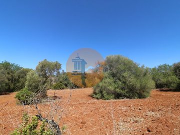 id0b247001-0000-0500-0000-000011e0bdc1