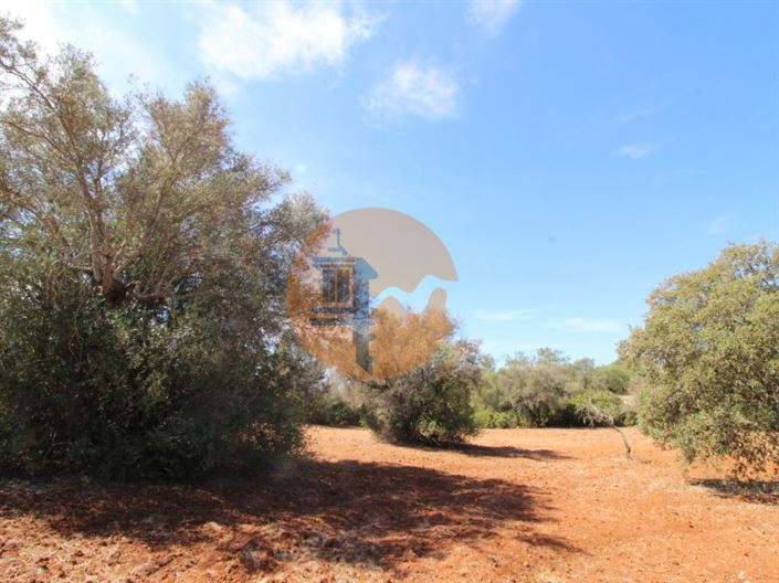 Image No.17-Plot for sale