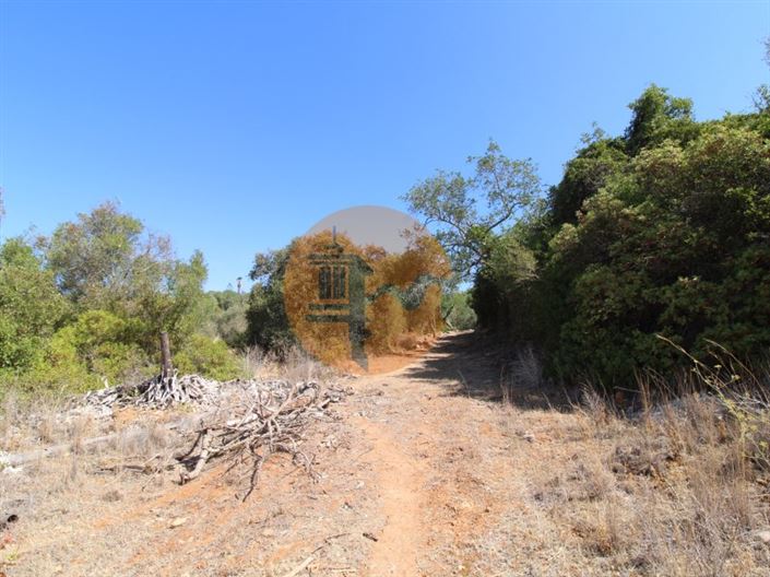 Image No.19-Plot for sale