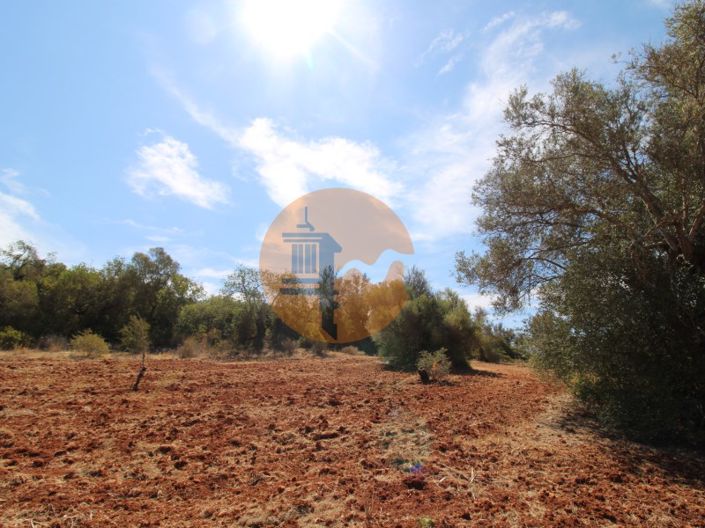 Image No.2-Plot for sale