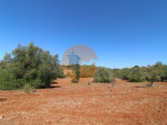 Image No.6-Plot for sale