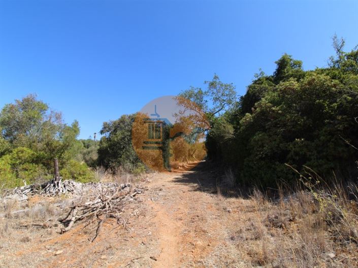 Image No.20-Plot for sale