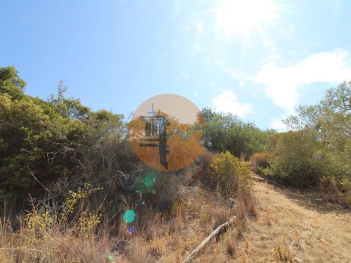 Image No.21-Plot for sale