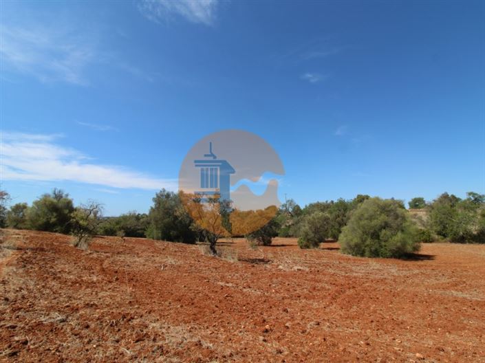 Image No.8-Plot for sale