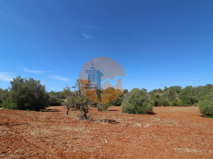 Image No.10-Plot for sale