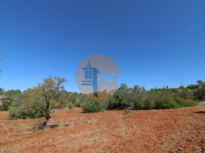 Image No.9-Plot for sale