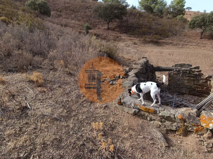 Image No.18-Plot for sale