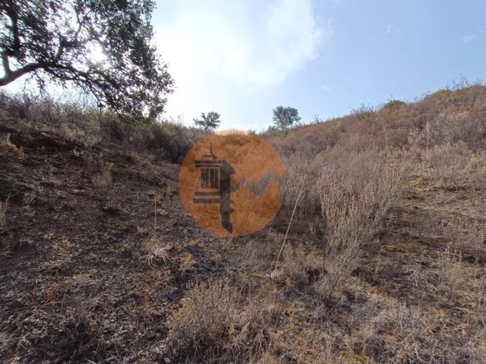 Image No.21-Plot for sale