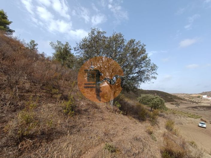 Image No.31-Plot for sale