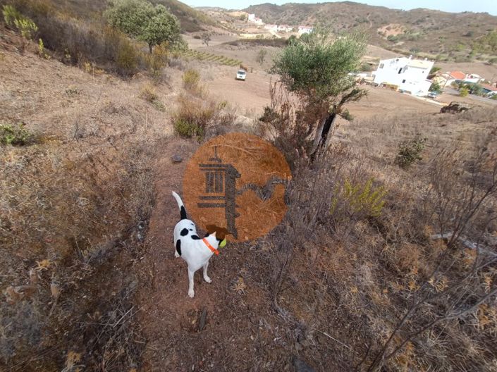 Image No.33-Plot for sale